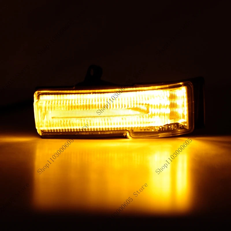 For Ford F150 F-150 Pickup 2015 2016 2017 2018 2019 LED Car Rearview Mirror Turn Signal Light Lamp Car Signal Lamp Accessories - sayaragear