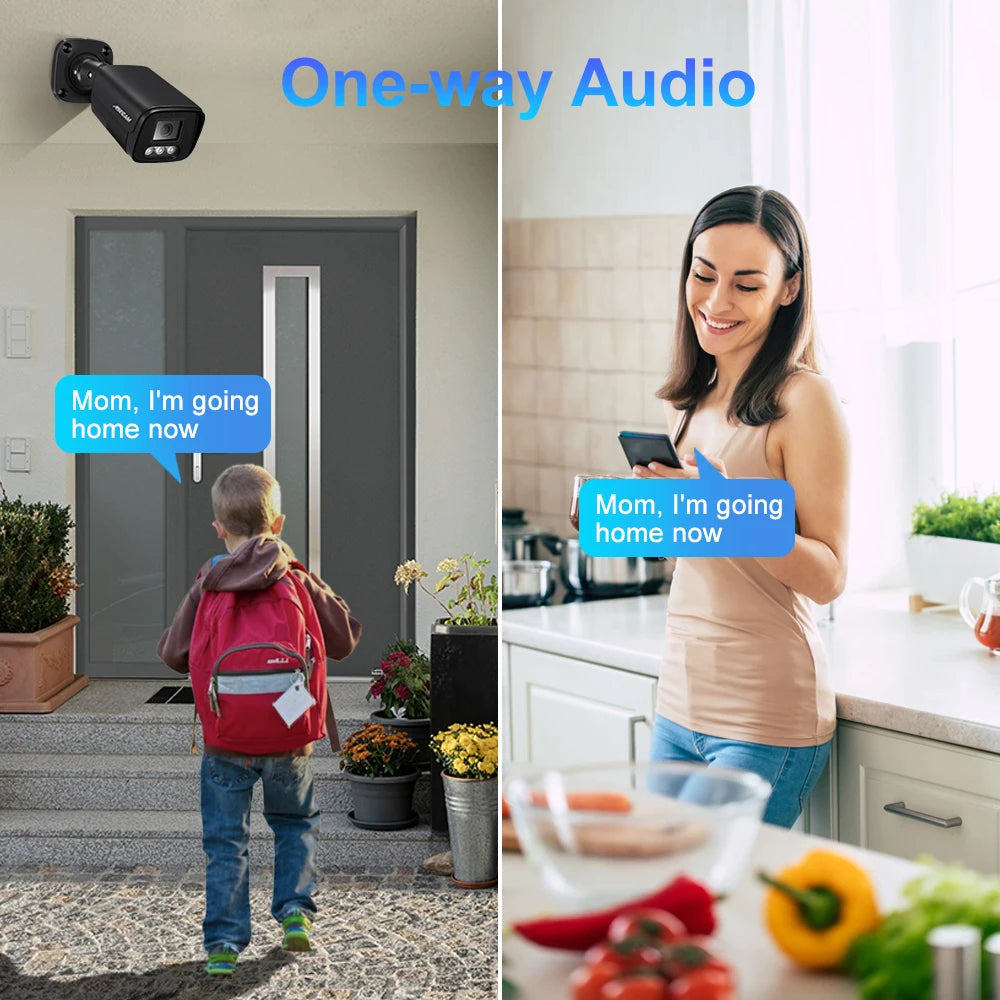 ASECAM 4K 8MP IP Camera Audio CCTV Recording Outdoor POE H.265 Onvif Metal Black 4MP Human Detection Surveillance Camera sayaragear