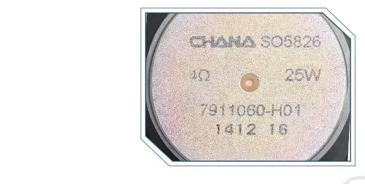 CHANGAN ALSVIN and ALSVIN V7 Front Door Horn Rear Door Speaker sayaragear